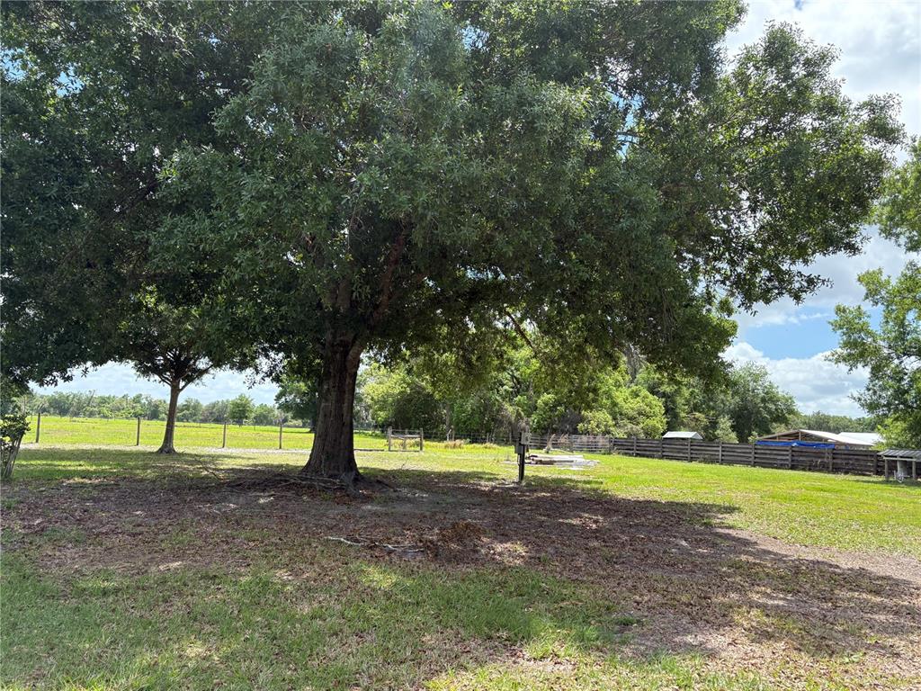 4884 NW COUNTY ROAD 661 ROAD, ARCADIA, FL — photo 3 of 3