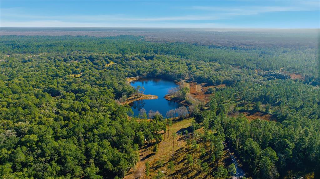 An aerial view shows a small, irregularly shaped pond surrounded by dense forest and trees — TBD (Lot 5) NE 115TH LANE ROAD, FORT MC COY, FL