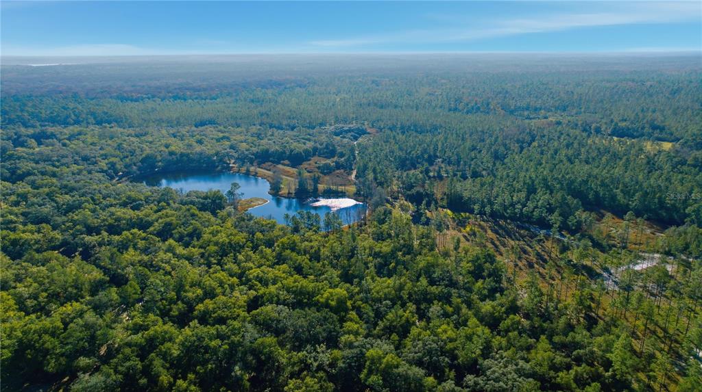 An aerial view shows a small lake surrounded by dense forest and cleared land — TBD (Lot 5) NE 115TH LANE ROAD, FORT MC COY, FL