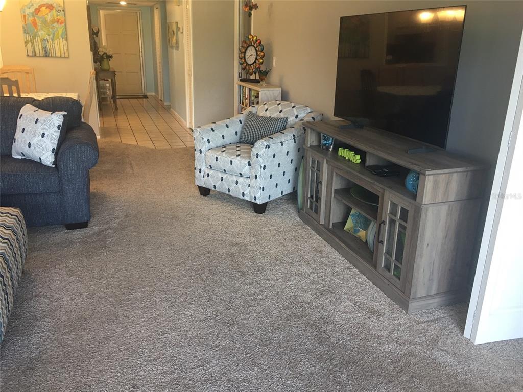 A living room features gray carpeting, a patterned armchair, a television console, and a sofa — 7405 W COUNTRY CLUB DRIVE N UNIT 104, SARASOTA, FL