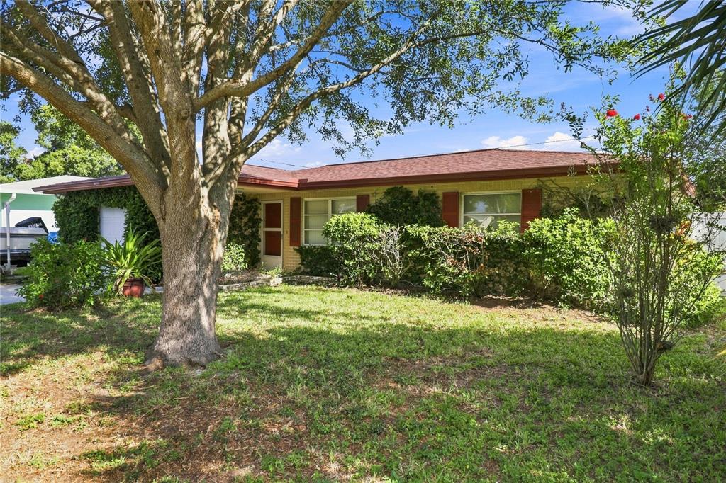 A single-story brick house with a large tree in the front yard and overgrown landscaping — 1070 6TH AVENUE NE, LARGO, FL
