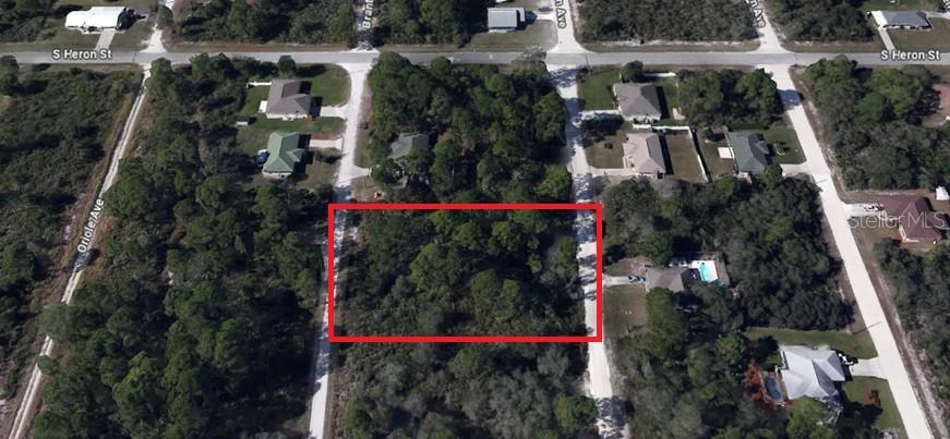 This is an aerial map showing a vacant, wooded lot outlined in red — 247 BRANT AVENUE, SEBRING, FL