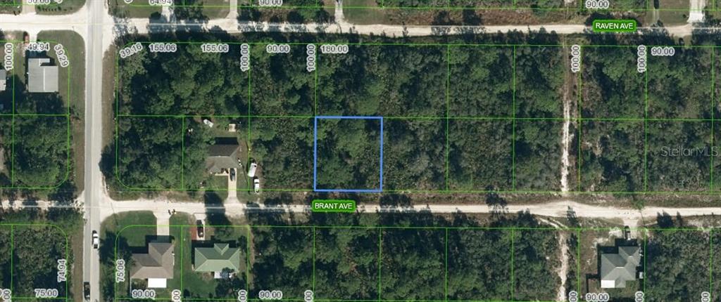 This aerial map shows a vacant rectangular lot highlighted in blue along a dirt road — 247 BRANT AVENUE, SEBRING, FL