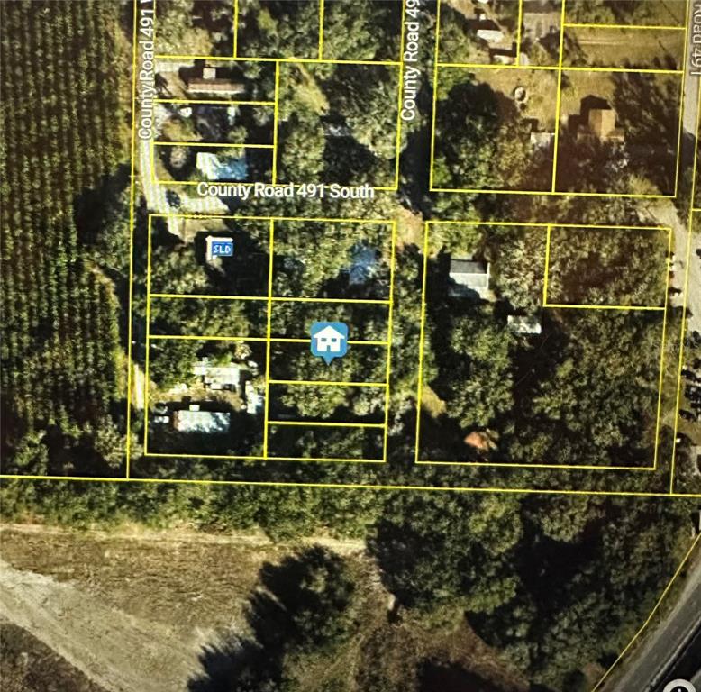 This is an aerial map showing property boundaries and surrounding lots — LOT #4, LAKE PANASOFFKEE, FL