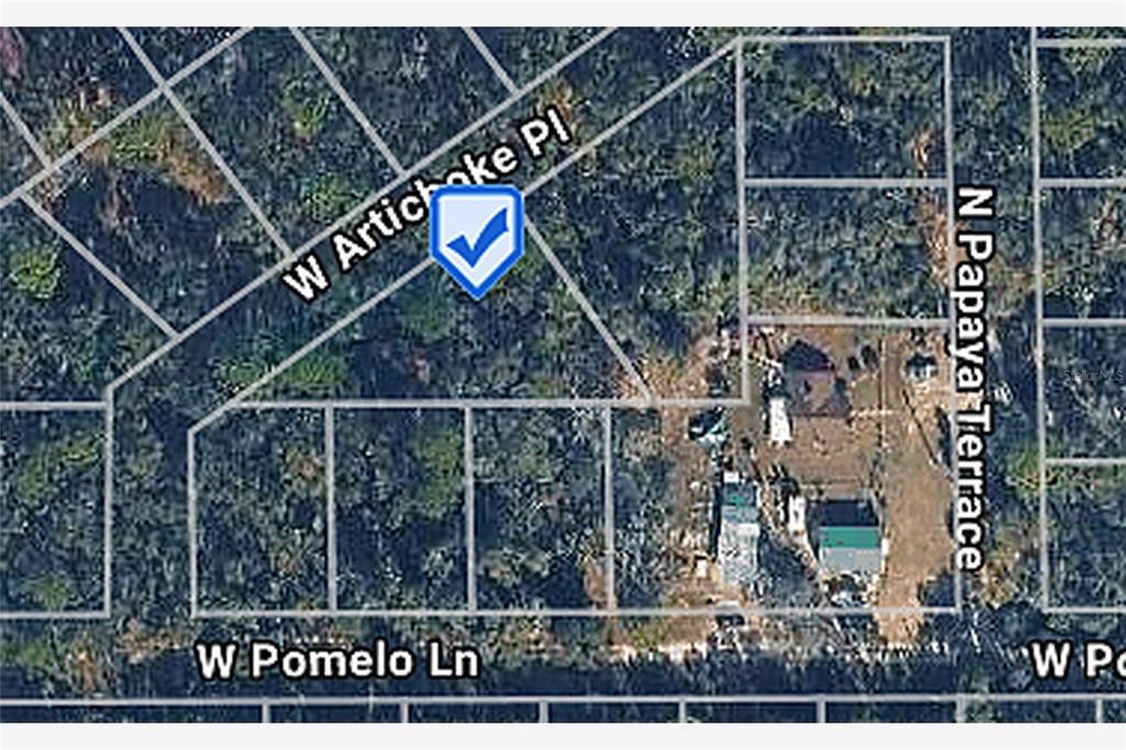 9662 W ARTICHOKE PLACE, CRYSTAL RIVER, FL — photo 2 of 4