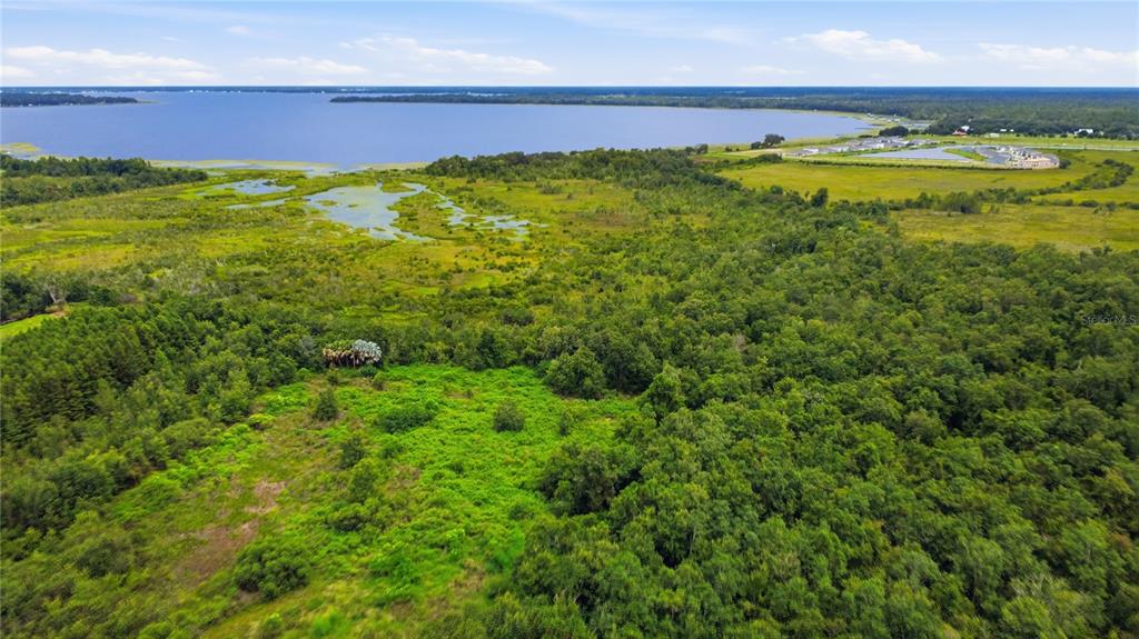 HICKORY TREE ROAD, ST CLOUD, FL — photo 5 of 21