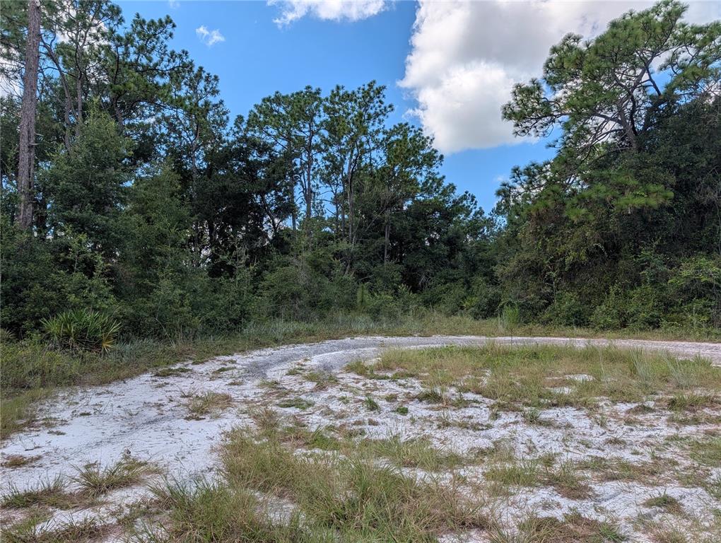 XXX WEDGEWOOD CIRCLE, MOUNT DORA, FL — photo 2 of 4