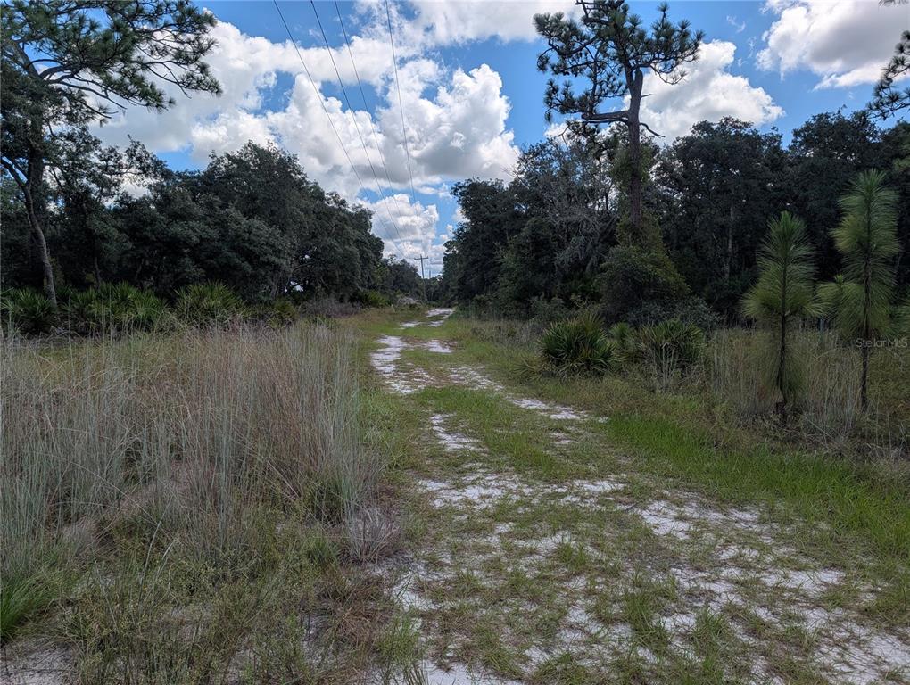 XXX WEDGEWOOD CIRCLE, MOUNT DORA, FL — photo 3 of 4