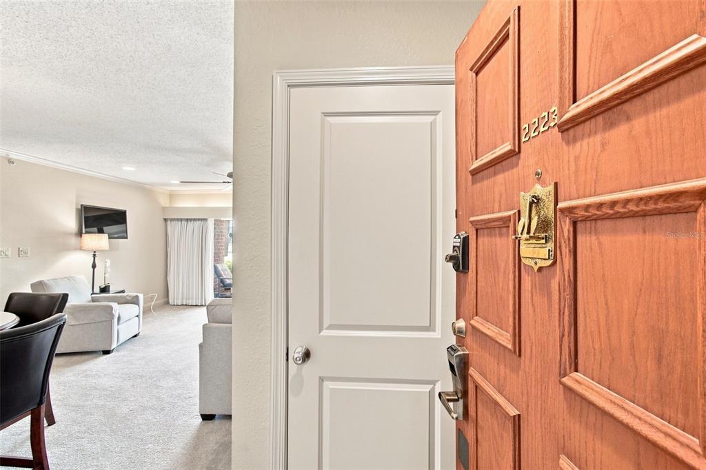 A view from an open wooden front door into a carpeted living room — 36750 US HIGHWAY 19 N UNIT 04-130, PALM HARBOR, FL