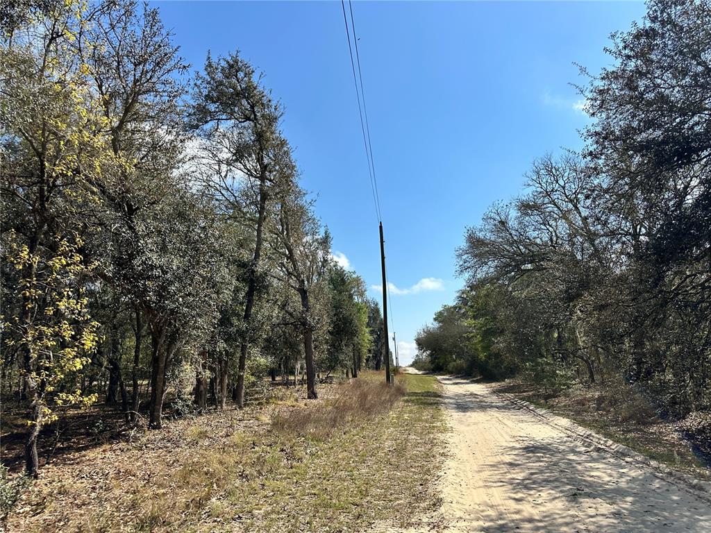 A dirt road runs between wooded areas under a clear blue sky with utility poles — TBD NE 68TH PLACE, BRONSON, FL