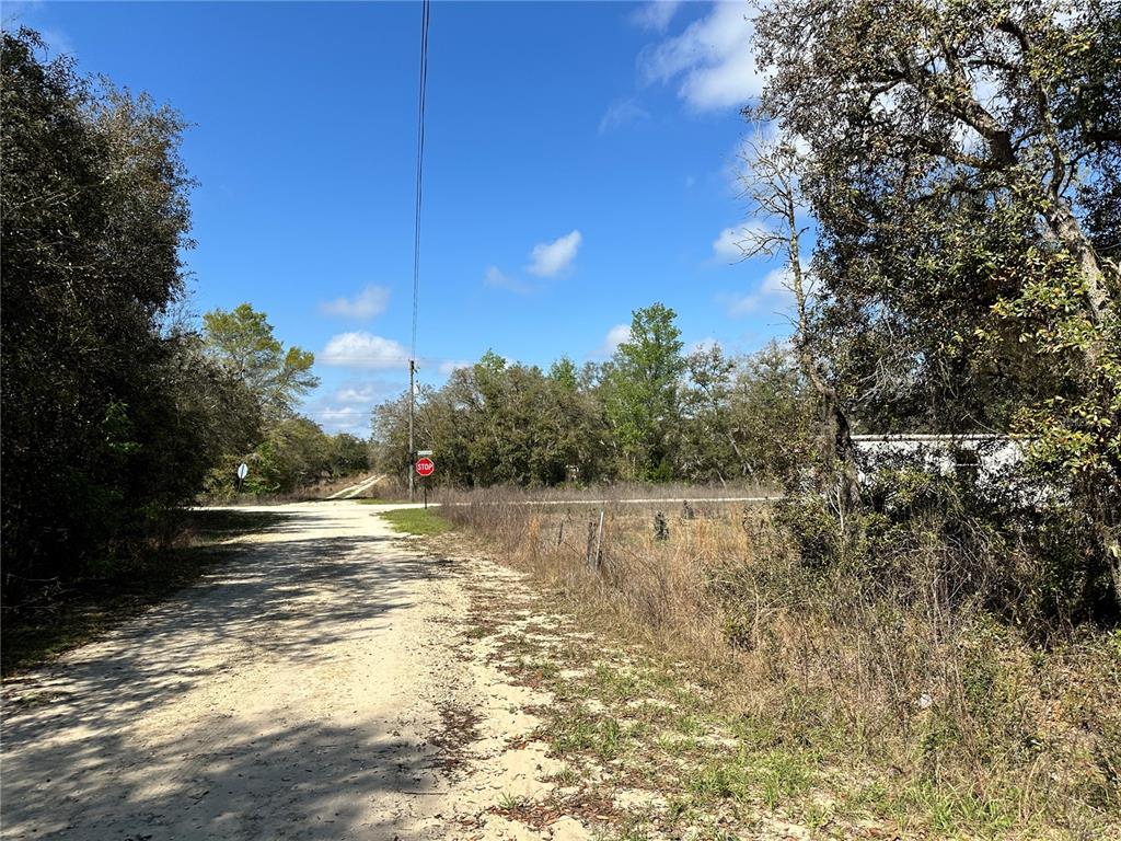 A dirt road leads toward a stop sign surrounded by trees and brush — TBD NE 68TH PLACE, BRONSON, FL