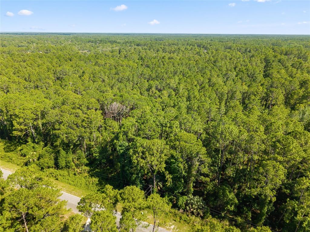 An aerial view shows a paved road bordering a dense, wooded forest under a blue sky — APRICOT AVENUE, EUSTIS, FL