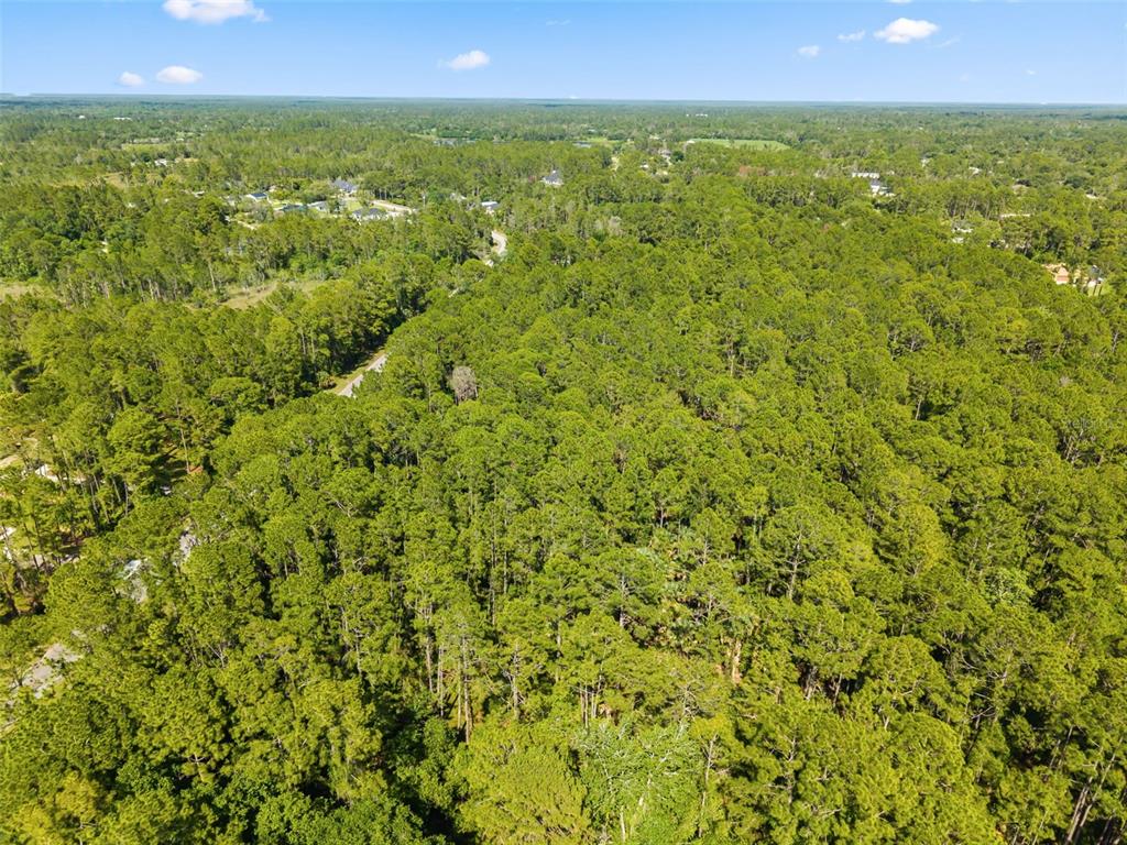 An aerial view shows a dense forest with a winding road visible in the distance — APRICOT AVENUE, EUSTIS, FL
