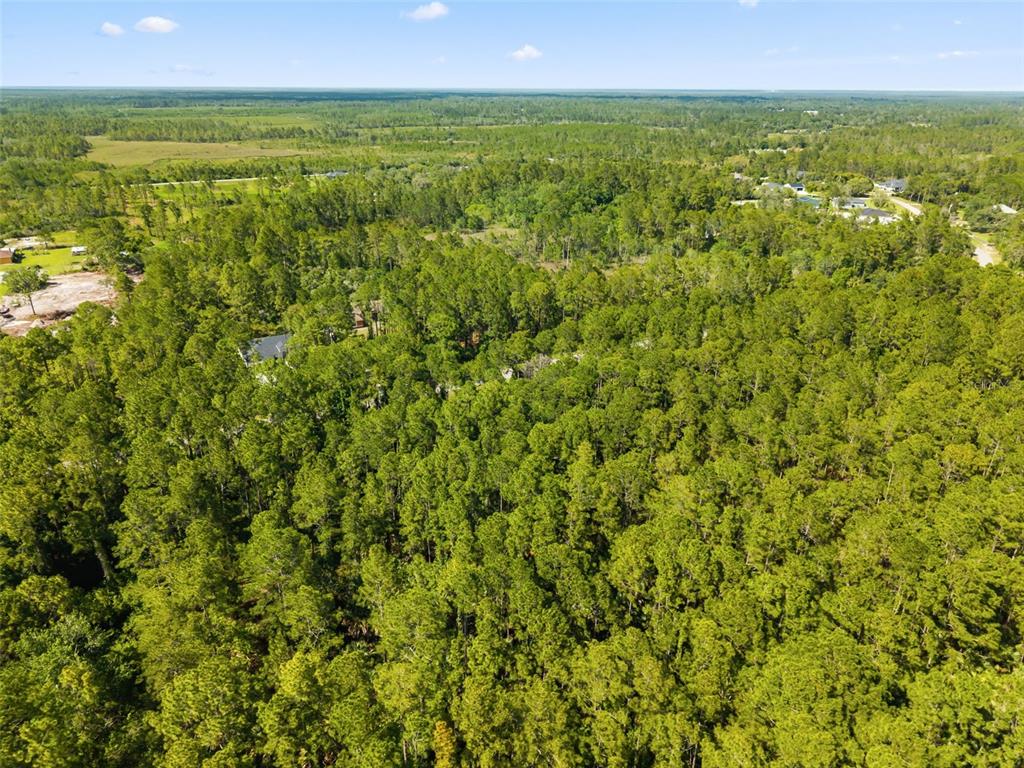 An aerial view shows a dense forest with a house partially visible among the trees — APRICOT AVENUE, EUSTIS, FL