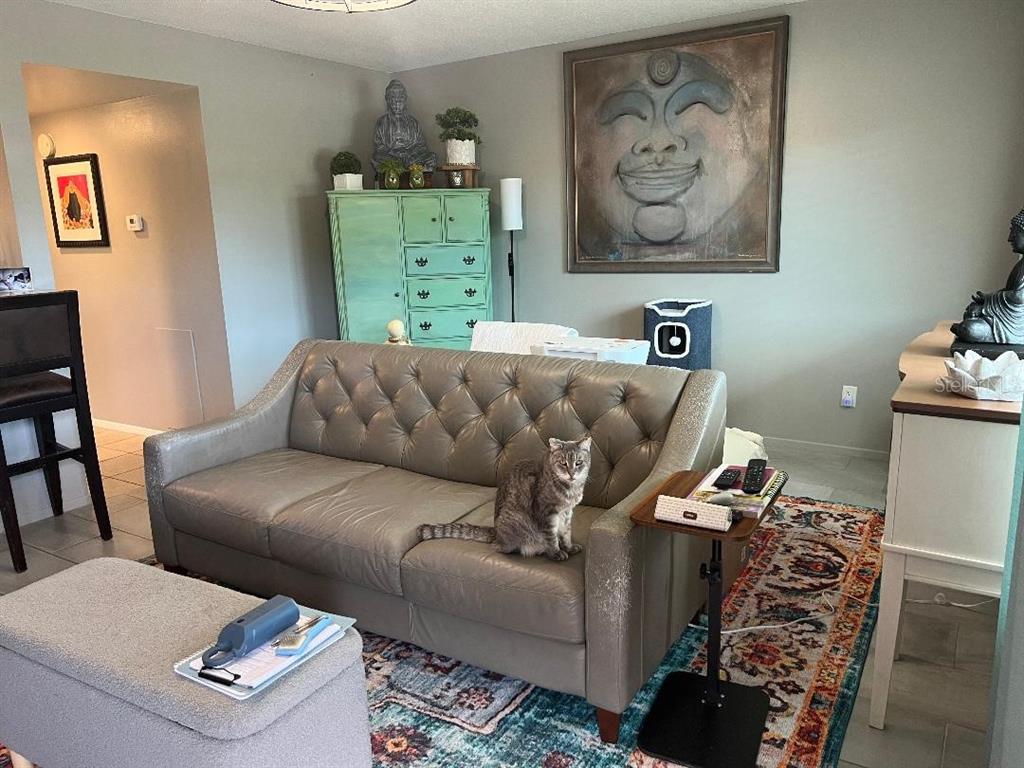 2000 WORLD PARKWAY BOULEVARD UNIT 20, CLEARWATER, FL — photo 4 of 30
