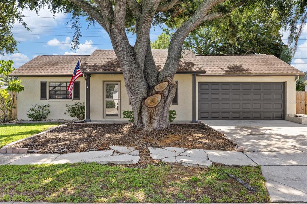 A single-story house with a large tree in the front yard and a garage — 1310 MANDARIN DRIVE, HOLIDAY, FL