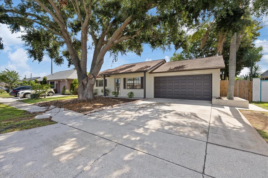 A single-story house with a large oak tree, concrete driveway, and dark garage door — 1310 MANDARIN DRIVE, HOLIDAY, FL