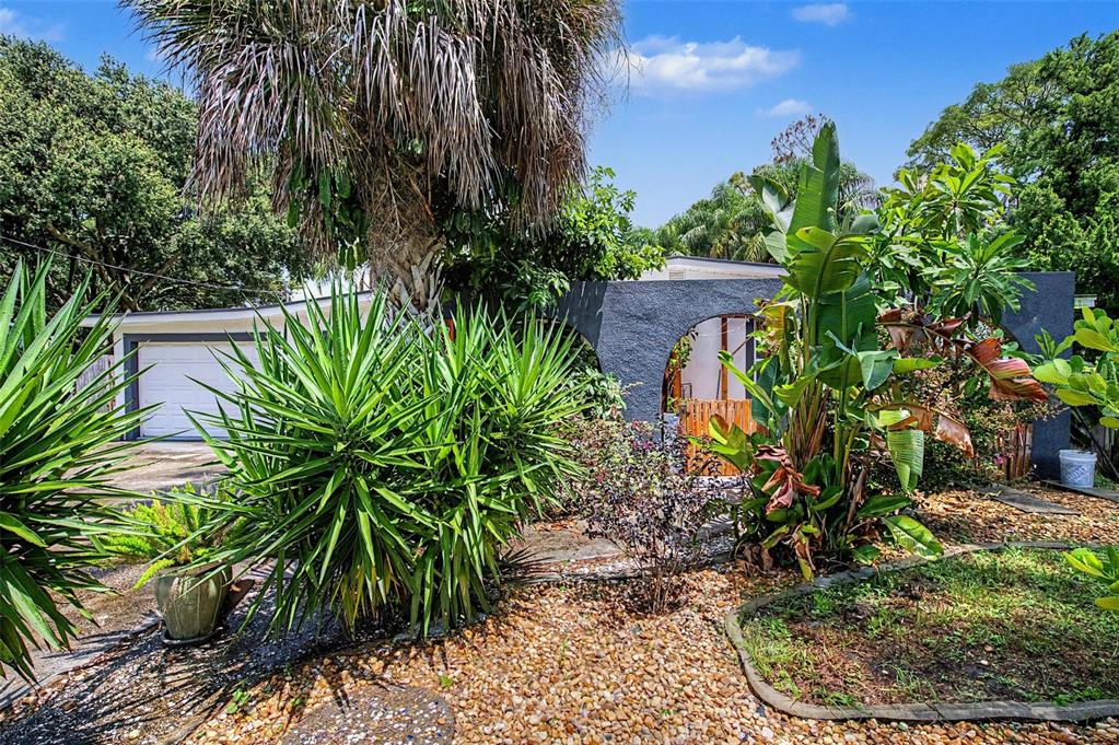 A gravel yard features a large palm tree, spiky yucca plants, and a dark arched wall — 2767 BELLE HAVEN DRIVE, CLEARWATER, FL