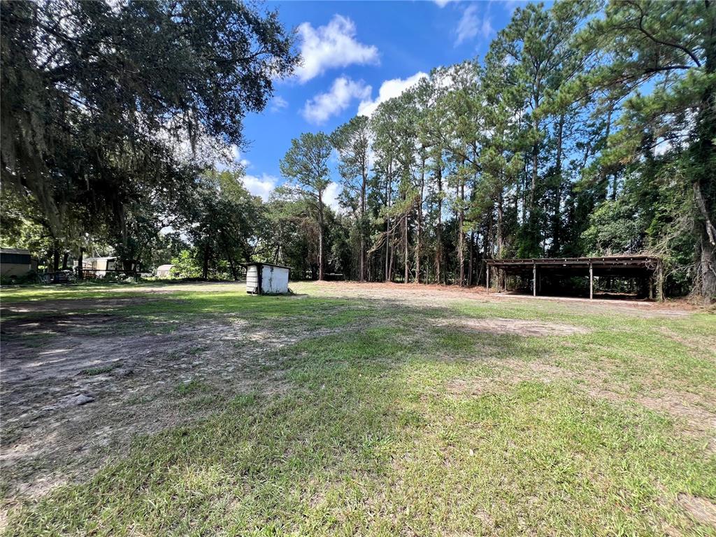 A cleared, level dirt lot is bordered by a dense line of tall trees — 11820 NW HIGHWAY 225, REDDICK, FL