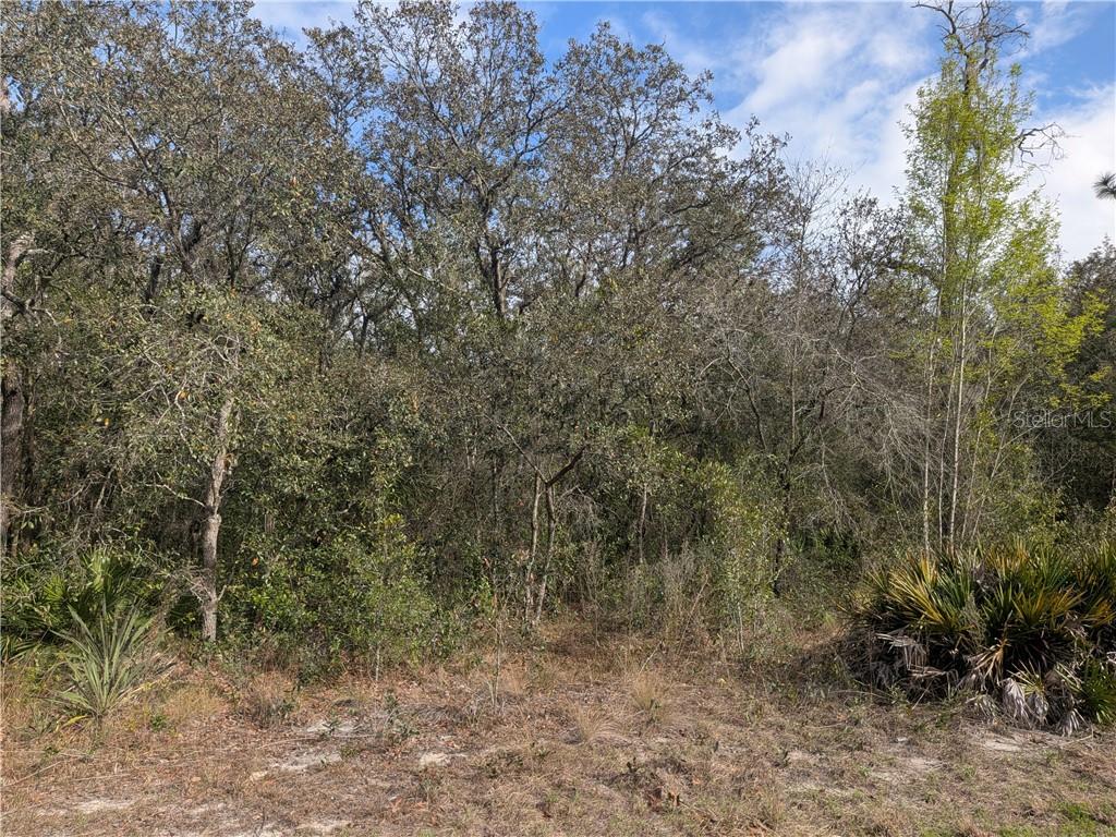 6775 S Sorrell AVENUE, HOMOSASSA, FL — photo 3 of 6