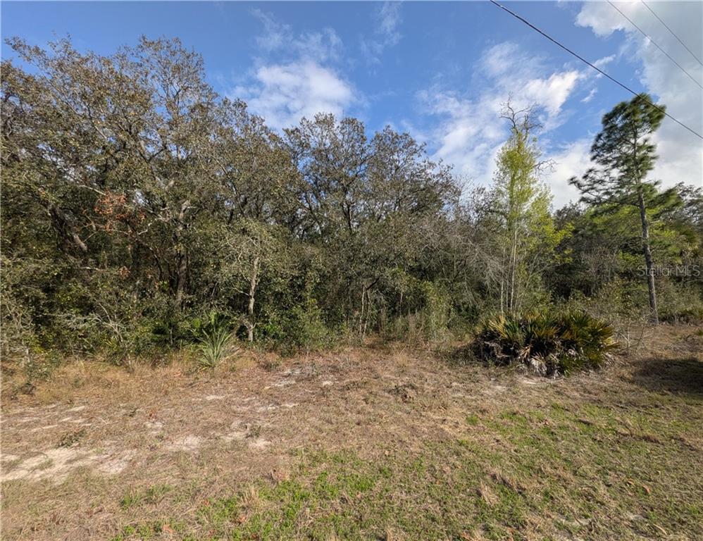 6775 S Sorrell AVENUE, HOMOSASSA, FL — photo 4 of 6