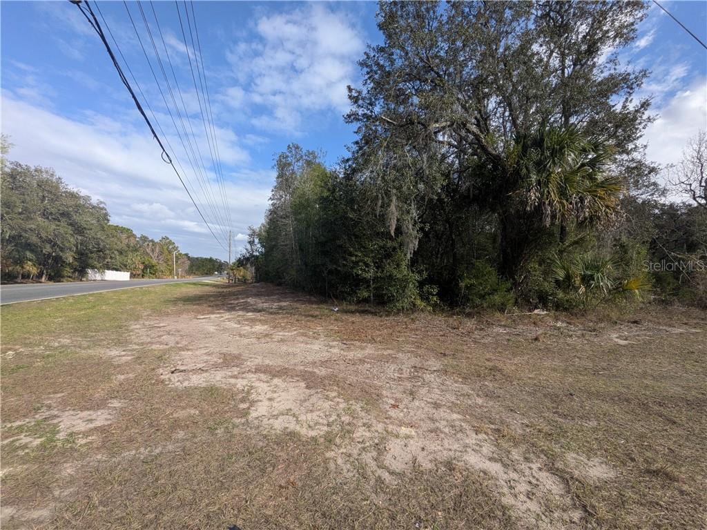 6775 S Sorrell AVENUE, HOMOSASSA, FL — photo 5 of 6