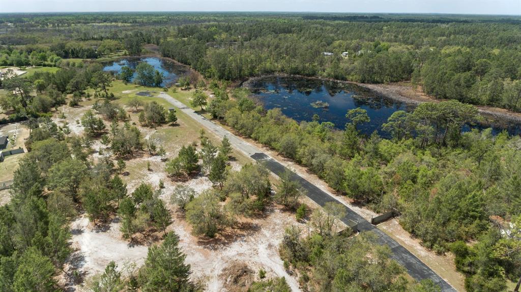 An aerial view shows a paved driveway winding through a wooded lot with two ponds — S SEQUOIA WAY, EUSTIS, FL