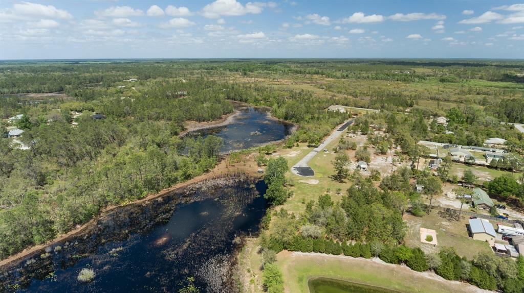 An aerial view shows a wooded landscape with a dark pond and a paved road — S SEQUOIA WAY, EUSTIS, FL