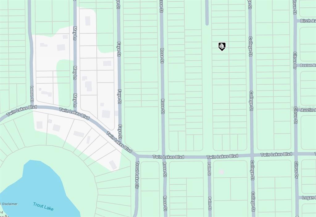 PALM ST, INTERLACHEN, FL — photo 4 of 5