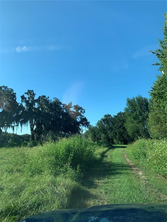 1271 N FLORIDA AVENUE, HERNANDO, FL — photo 3 of 3