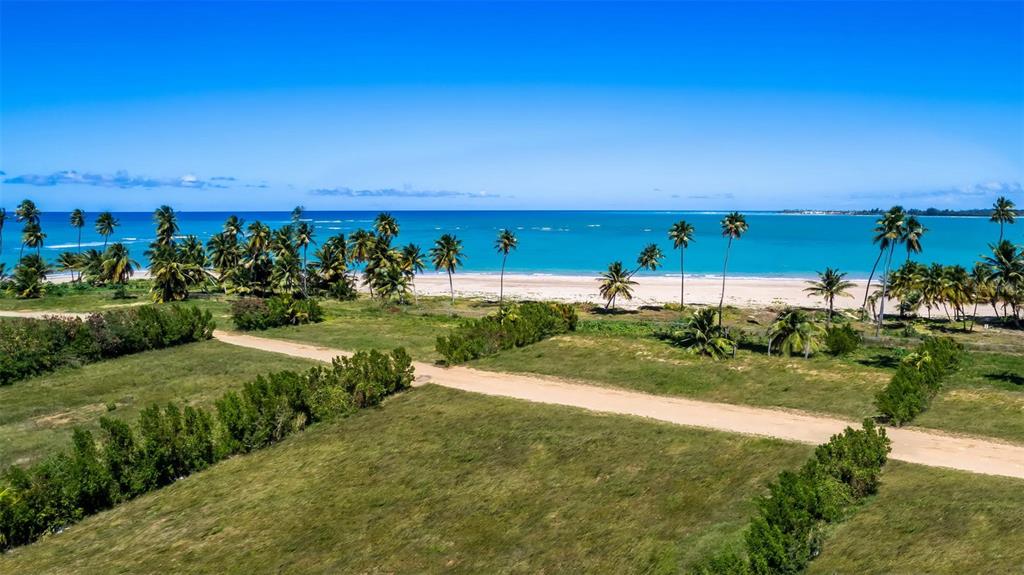 An aerial view of a grassy coastal lot with palm trees leading to a sandy beach — Atlantic Drive BEACHFRONT LOT ATLANTIC DRIVE AT THE FOUR SEASONS Lot 12, RIO GRANDE, PR