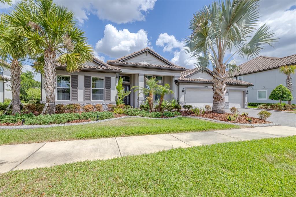 A screened-in pool and spa area with a patio overlooking a pond and palm trees — 7190 GRAYBROOK DRIVE, WESLEY CHAPEL, FL