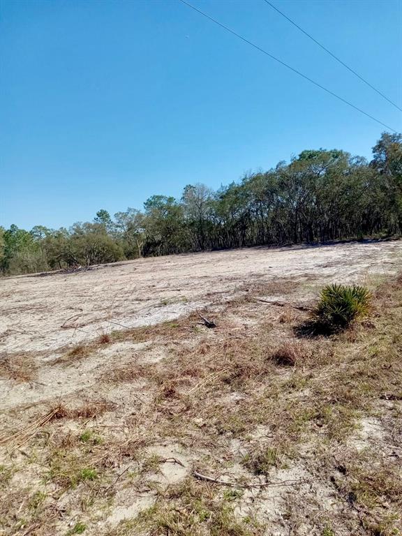 A cleared, sandy lot with sparse vegetation borders a line of trees under a blue sky — 0 SE 125TH COURT, DUNNELLON, FL