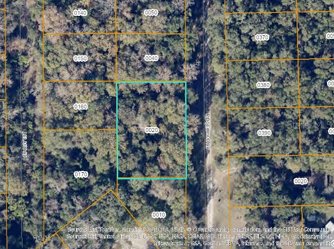 This is an aerial map showing a highlighted parcel of land surrounded by wooded lots — TBD RIDGEWOOD AVENUE, DE LEON SPRINGS, FL