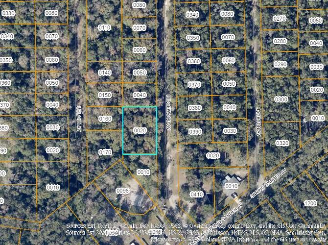 This is a satellite map showing a highlighted rectangular land parcel surrounded by wooded lots — TBD RIDGEWOOD AVENUE, DE LEON SPRINGS, FL