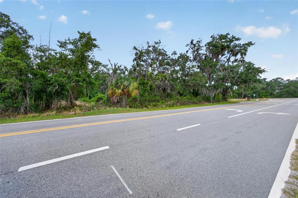 A paved road runs alongside a wooded lot with mature trees and a palm tree — 2819 SAFFOLD ROAD, WIMAUMA, FL
