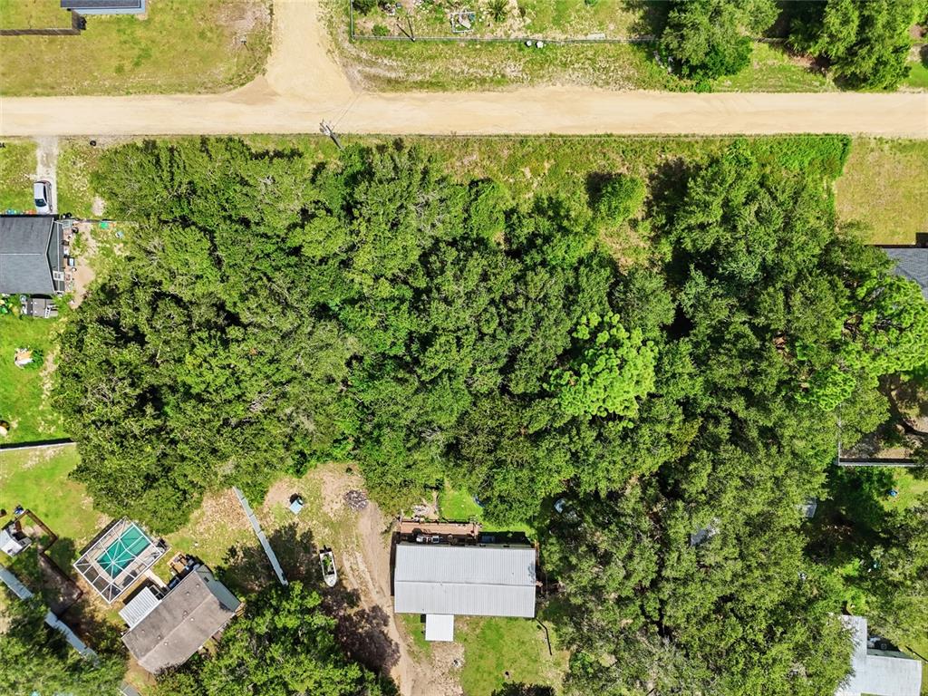 SE 142 STREET, BELLEVIEW, FL — photo 2 of 12