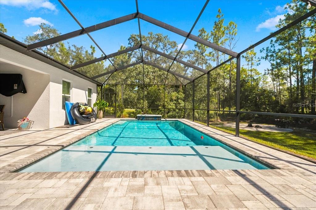 A screened-in swimming pool with a tanning ledge and paver deck overlooks a wooded yard — 15488 SCOLDER LOOP, WEEKI WACHEE, FL