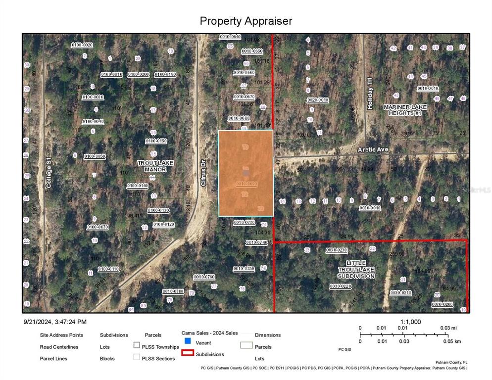 This is a property appraiser map showing parcel boundaries and lot lines in a subdivision — 540 CITRUS DRIVE, INTERLACHEN, FL