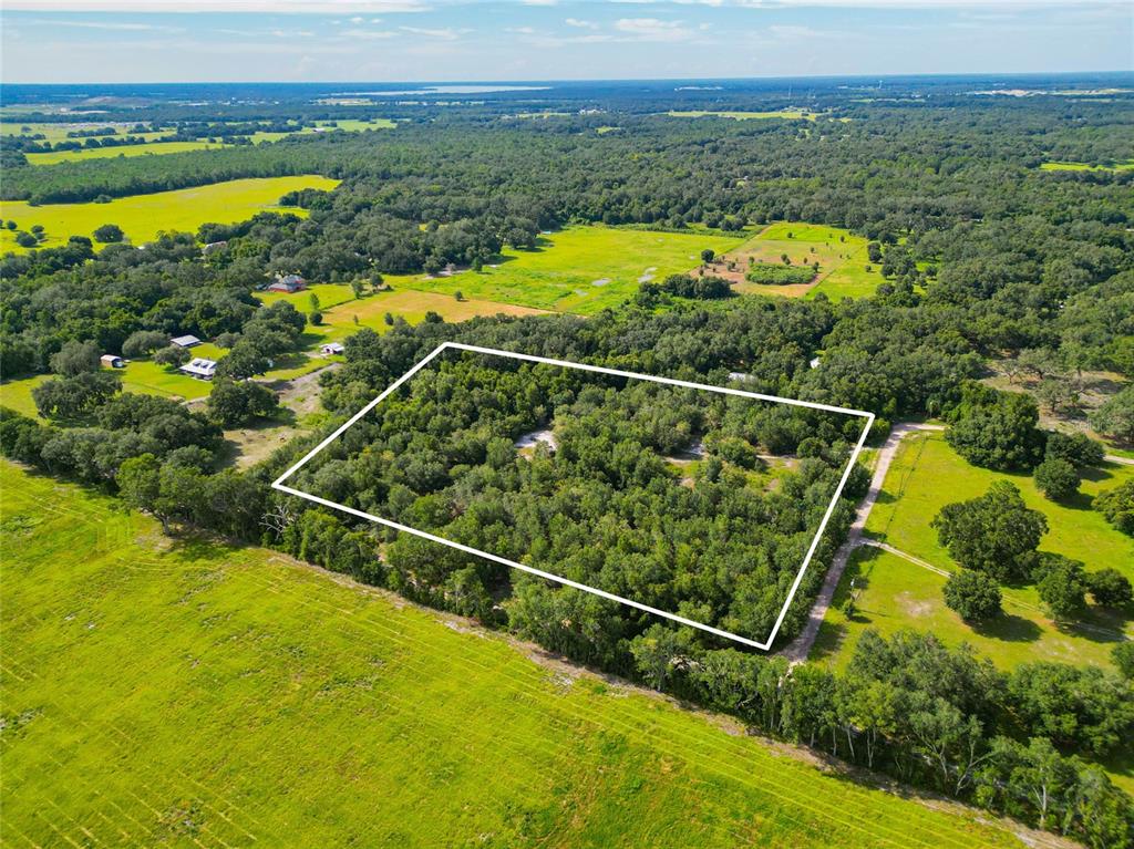 An aerial view shows a rectangular plot of wooded land outlined in white — SE 29TH BLVD, SUMTERVILLE, FL