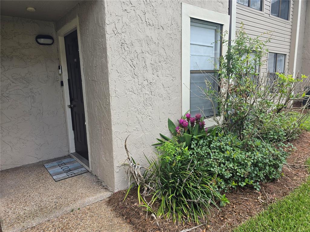 The exterior entrance of a residential unit features a dark door and a small garden — 3019 ANTIQUE OAKS CIRCLE UNIT 127, WINTER PARK, FL