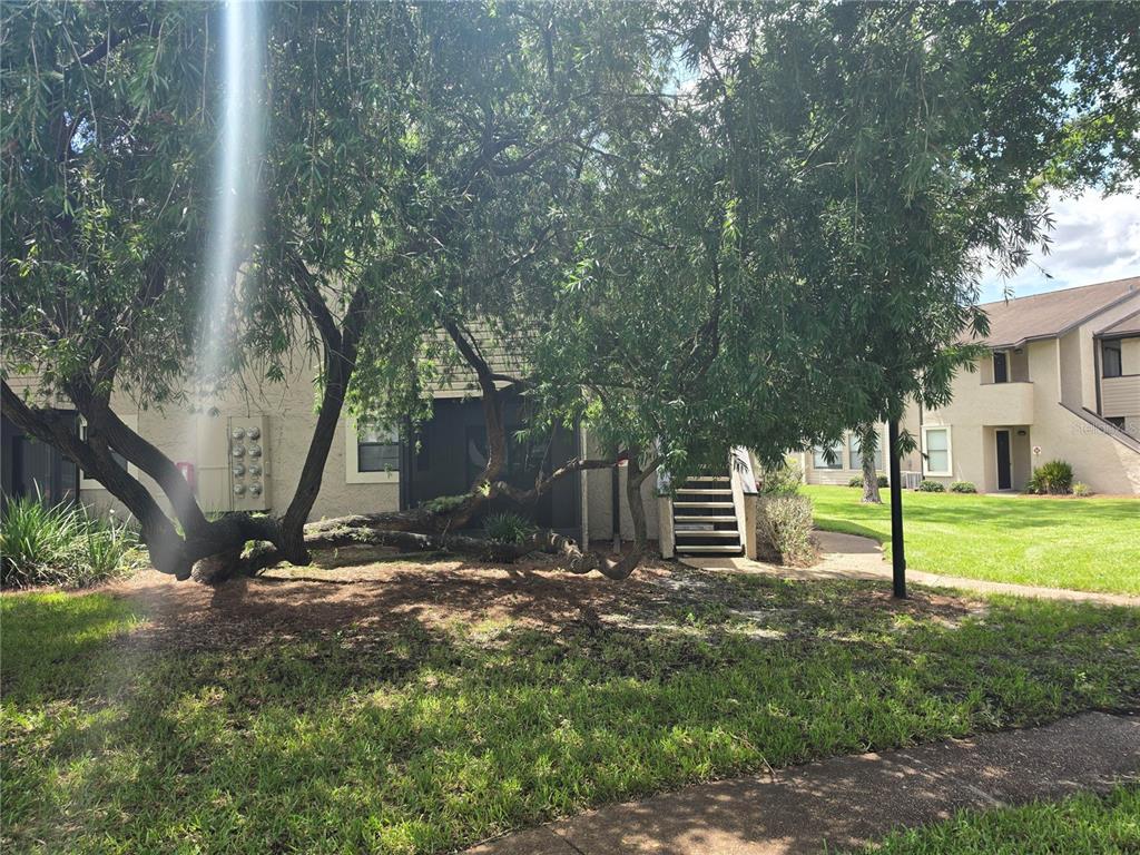A multi-story apartment building exterior features a large, low-hanging tree in the front yard — 3019 ANTIQUE OAKS CIRCLE UNIT 127, WINTER PARK, FL