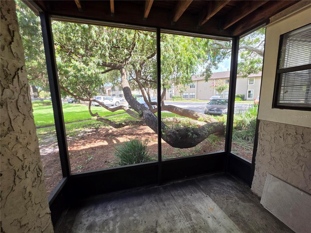 A screened-in porch overlooks a parking lot and a large tree with low-hanging branches — 3019 ANTIQUE OAKS CIRCLE UNIT 127, WINTER PARK, FL