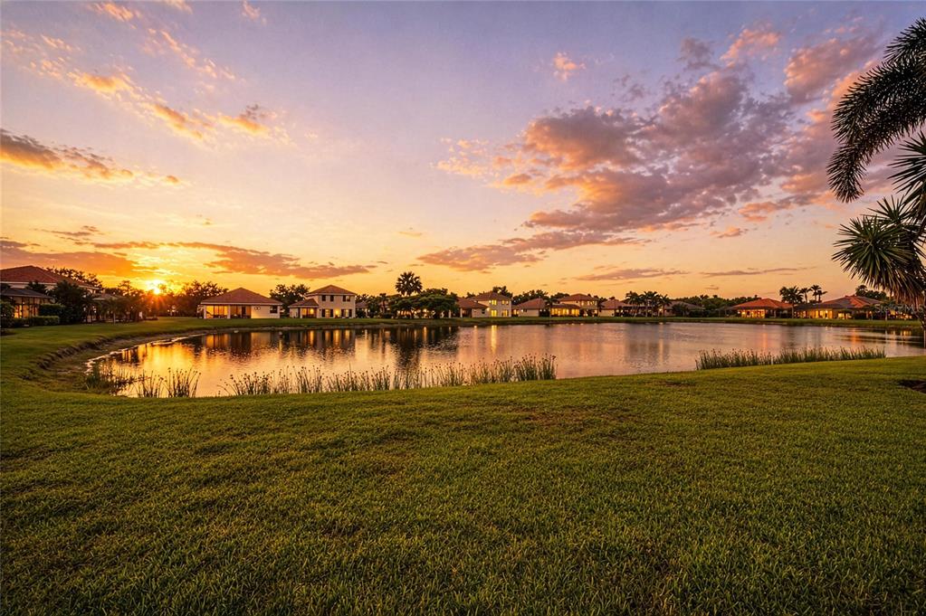A grassy lawn overlooks a lake with houses in the background at sunset — 9035 WILLOWBROOK CIRCLE, BRADENTON, FL