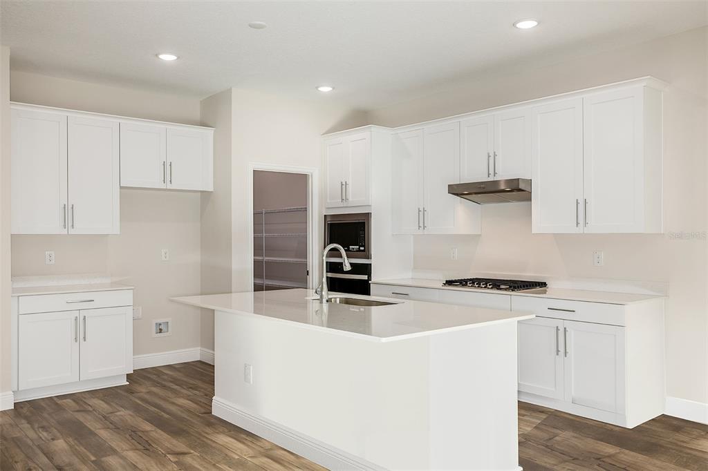 A modern kitchen features white cabinets, a central island with a sink, and wood flooring — 33554 HAMMOCK BEACH WAY, DADE CITY, FL