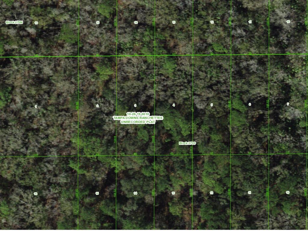 This is a satellite map view of an unrecorded plat showing numbered land parcels — UNASSIGNED, WESLEY CHAPEL, FL
