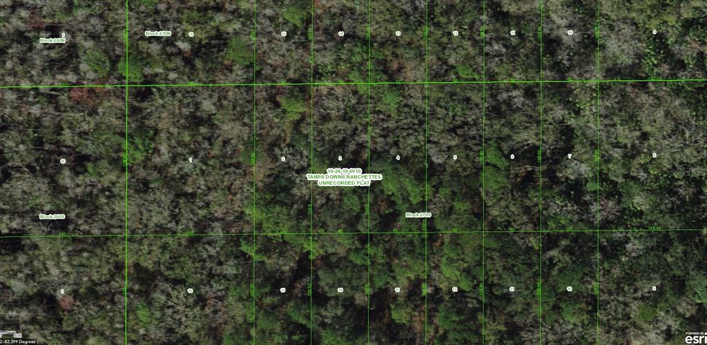 An aerial map view shows a grid of undeveloped, wooded land lots in Tampa Downs Ranchettes — UNASSIGNED, WESLEY CHAPEL, FL