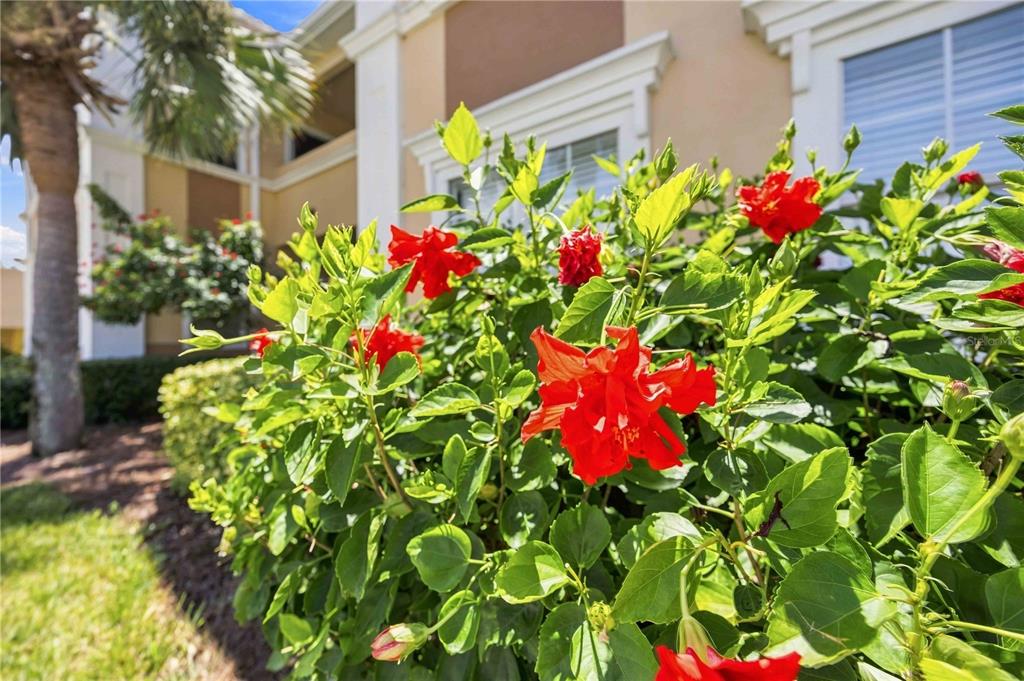 1195 VILLAGIO CIRCLE UNIT 206, SARASOTA, FL — photo 2 of 30
