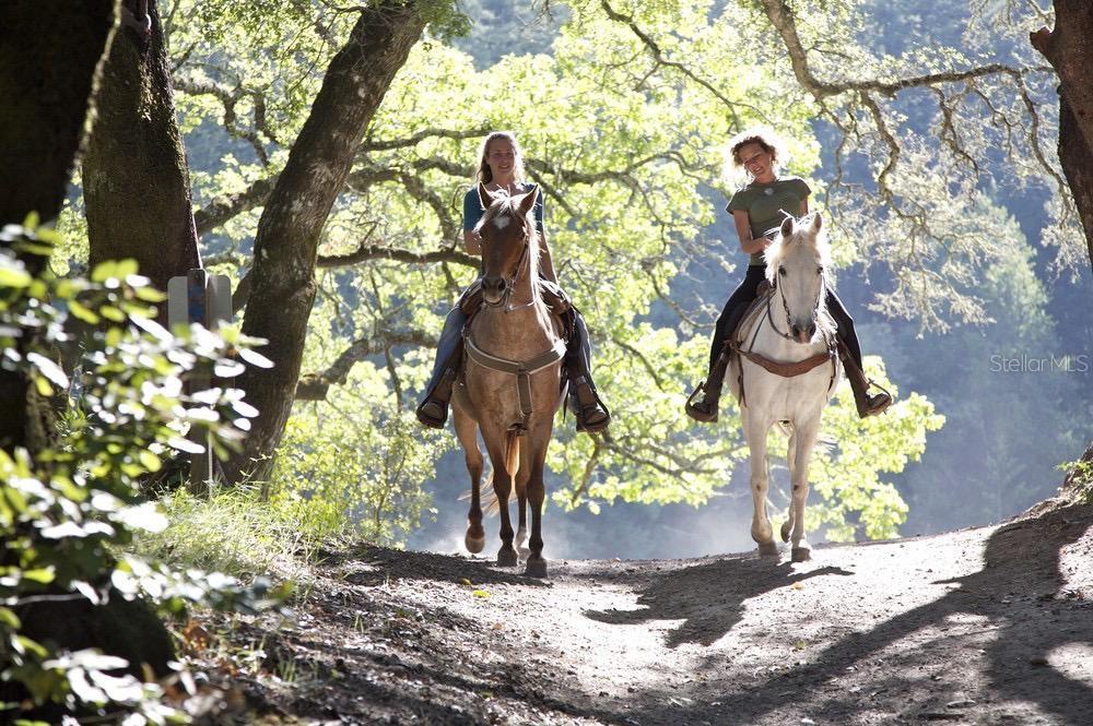 Two women ride horses along a dirt trail through a sunlit, wooded area — 7756 N SHILLELAGH AVENUE, CRYSTAL RIVER, FL