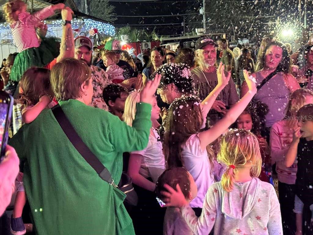 A group of people, including many children, enjoy an outdoor event with falling artificial snow — 7756 N SHILLELAGH AVENUE, CRYSTAL RIVER, FL
